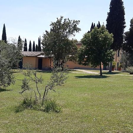 Villa Poggio le Vignacce Marciano della Chiana Esterno foto